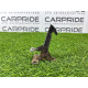 Замок капота (кузов и элементы) LAND ROVER Range Rover P38 1996 4.6 Lucas ALR6990