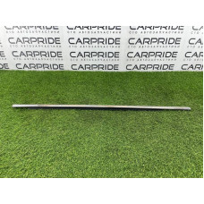 Зовнішній молдинг дверки