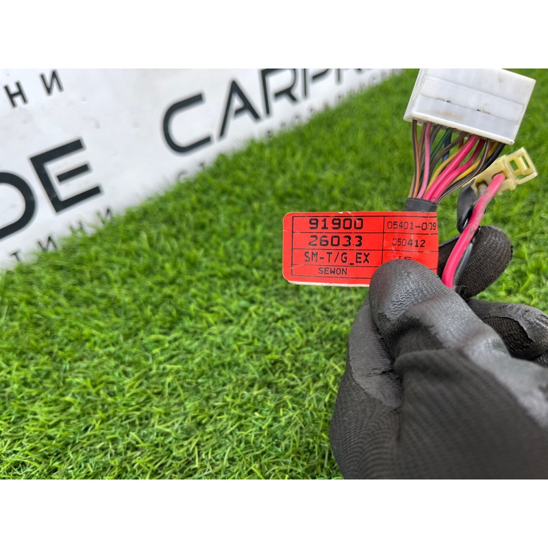 Проводка крышки багажника (электрика) Hyundai Santa Fe SM 2005 2.0 9190026033