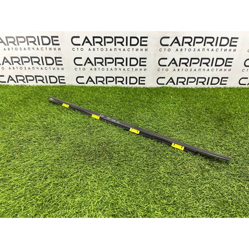 Молдинг стекла (кузов и элементы) Hyundai Santa Fe SM 2005 2.0 8221026000