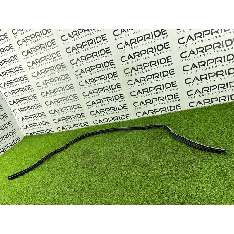 Уплотнитель (кузов и элементы) Hyundai Santa Fe SM 2005 2.0 8212026000YD