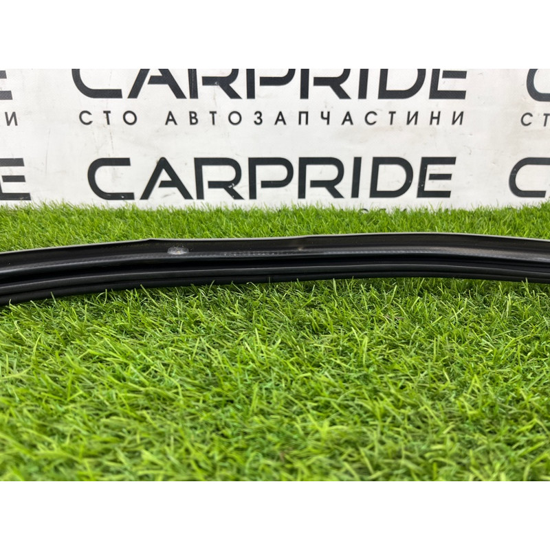 Уплотнитель (кузов и элементы) Hyundai Santa Fe SM 2005 2.0 8212026000YD