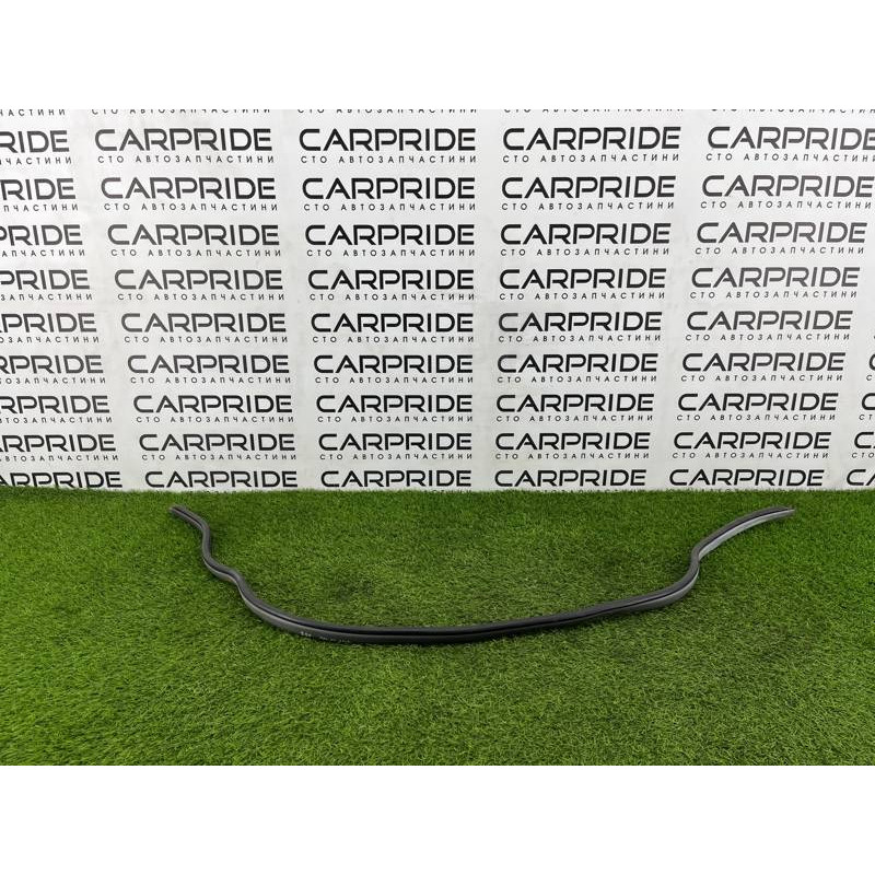 Уплотнитель (кузов и элементы) Hyundai Santa Fe SM 2005 2.0 8212026000YD