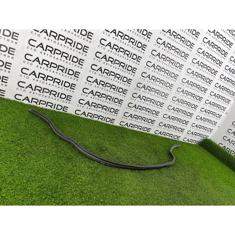 Уплотнитель (кузов и элементы) Hyundai Santa Fe SM 2005 2.0 8212026000YD