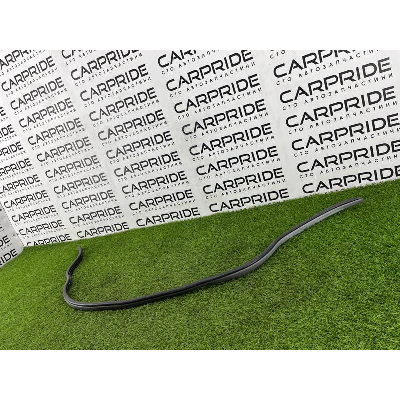 Уплотнитель (кузов и элементы) Hyundai Santa Fe SM 2005 2.0 8212026000YD