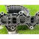 Коллектор впускной (впускная система) Chevrolet Captiva C140 2011 2.2 D (z22d1) 25193560