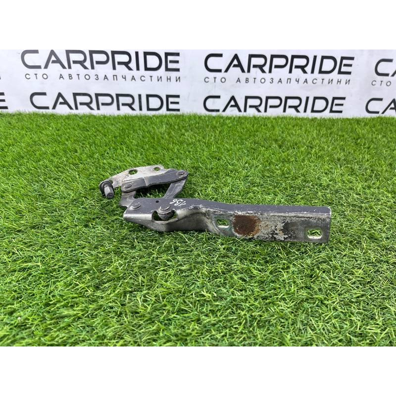 Петля капота (кузов и элементы) Volkswagen Passat B6 2008 2.0 BKP 3C0823301E