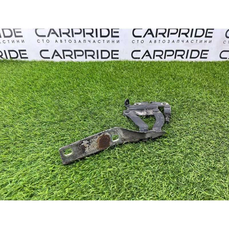 Петля капота (кузов и элементы) Volkswagen Passat B6 2008 2.0 BKP 3C0823301E