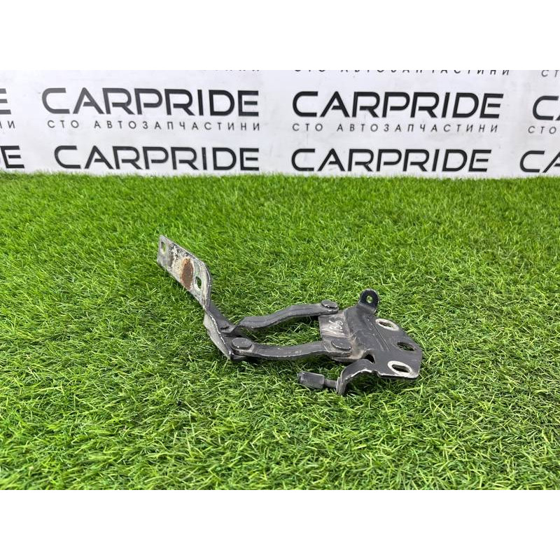 Петля капота (кузов и элементы) Volkswagen Passat B6 2008 2.0 BKP 3C0823301E