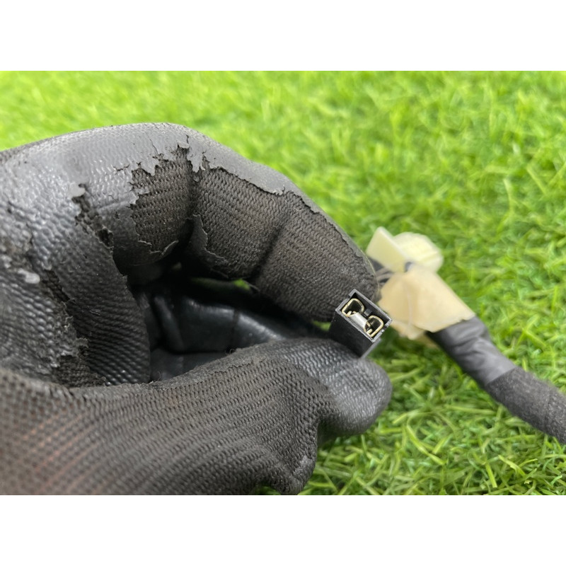 Проводка крышки багажника (электрика) FORD ESCAPE MK4 2020 1.5 LX6Z13412A