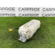 Airbag торпеды (airbag/безопасность) Bmw 3-series E46 72129384804