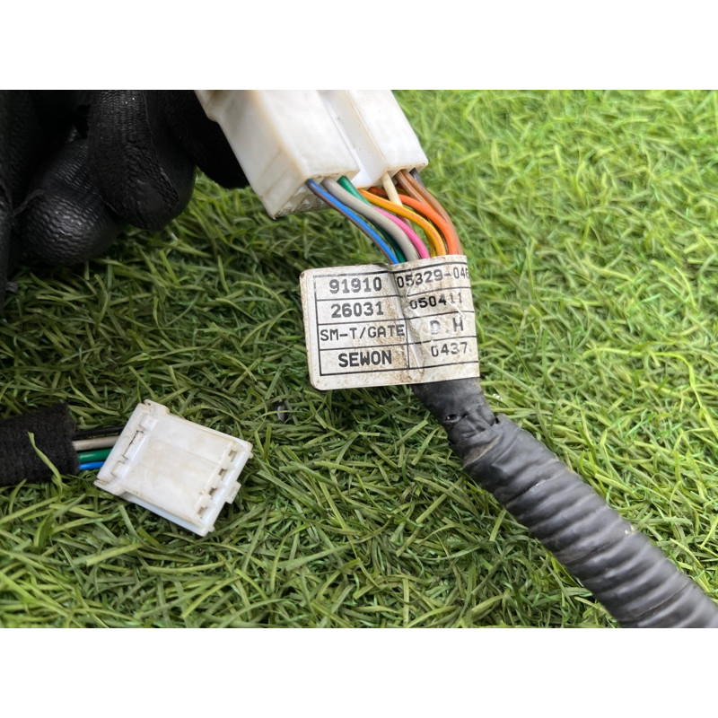 Проводка крышки багажника (электрика) Hyundai Santa Fe SM 2005 2.0 9191026031