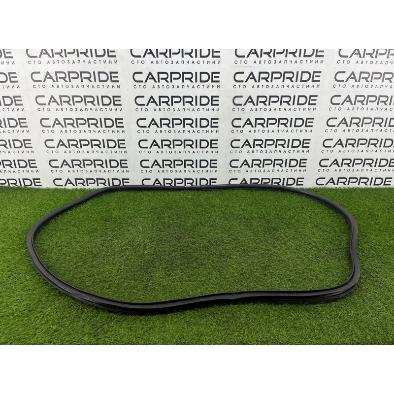 Ущільнювач дверей (кузов і елементи) Mitsubishi Outlander GM4W 2022 2.50 76921W020P