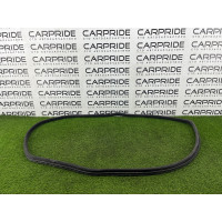 Ущільнювач дверей