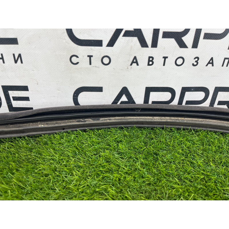 Уплотнитель проема двери (кузов и элементы) LAND ROVER Range Rover P38 1996 4.6 Lucas ALR6283LNF