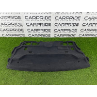 Задня полиця