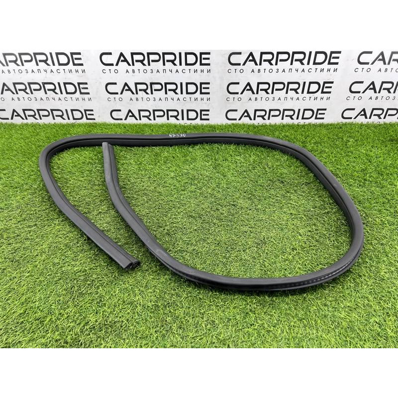 Уплотнитель проема двери (кузов и элементы) FORD Focus MK3 2016 1.0 CV6Z5825324A