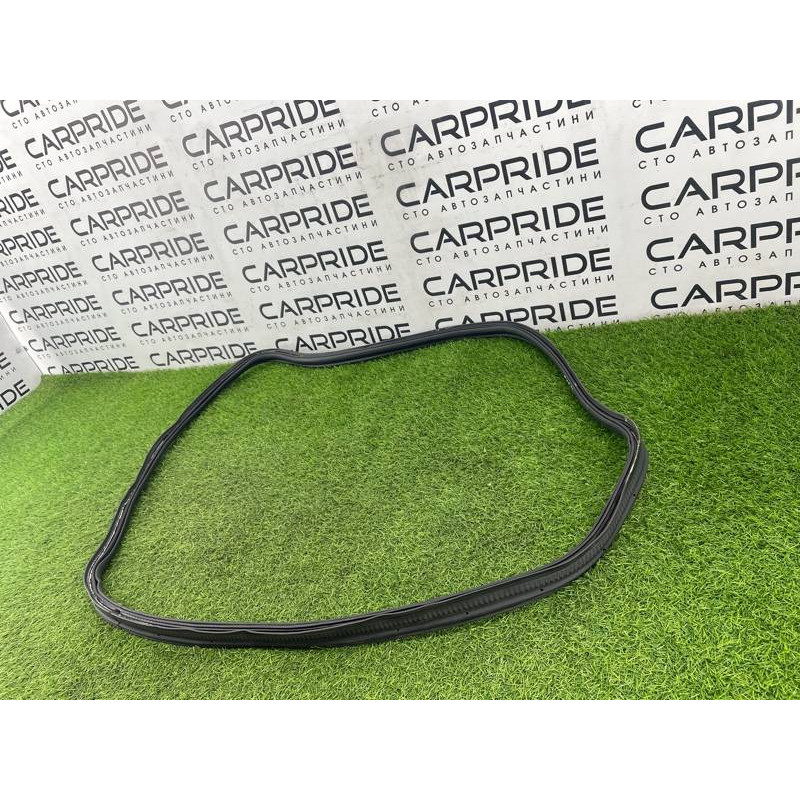 Уплотнитель проема багажника (кузов и элементы) FORD Focus MK3 2016 1.0 BM5Z-5443720-B