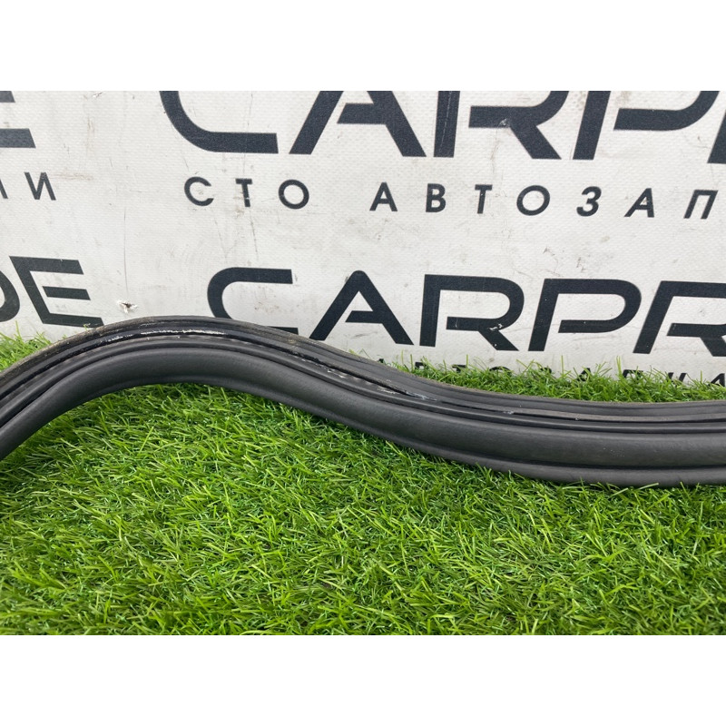 Уплотнитель проема багажника (кузов и элементы) FORD Focus MK3 2016 1.0 BM5Z-5443720-B