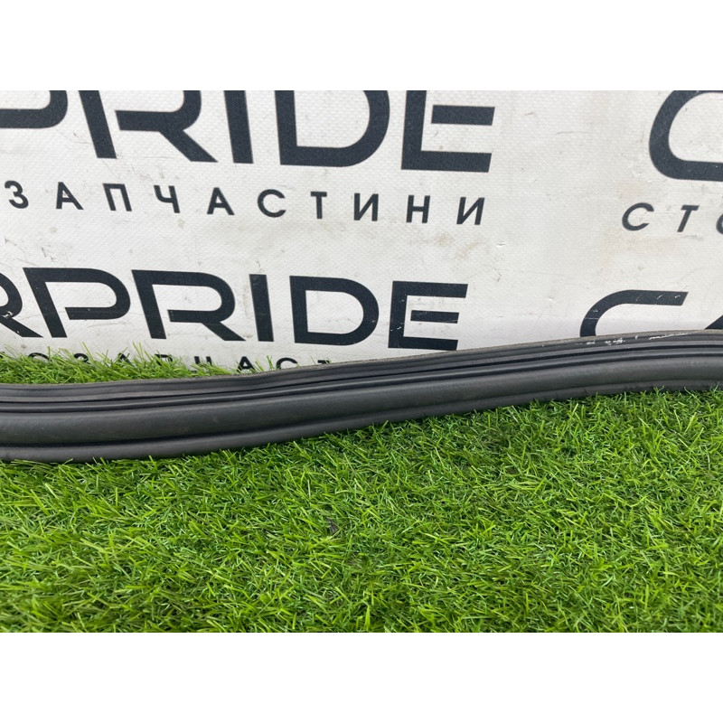 Уплотнитель проема багажника (кузов и элементы) FORD Focus MK3 2016 1.0 BM5Z-5443720-B