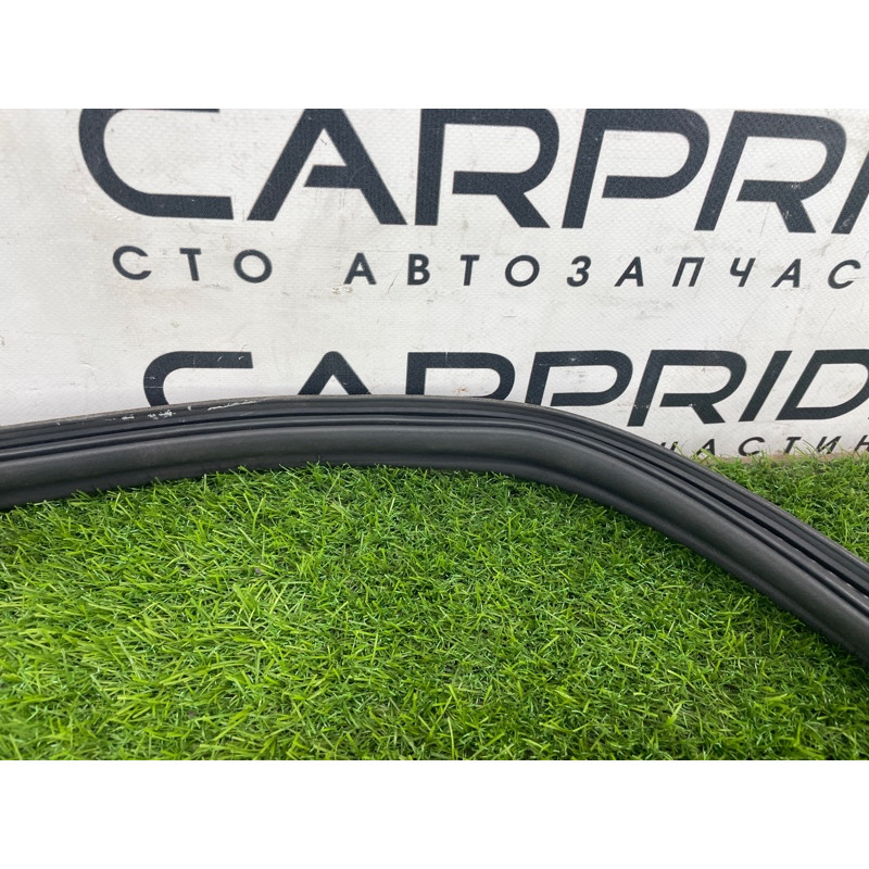 Уплотнитель проема багажника (кузов и элементы) FORD Focus MK3 2016 1.0 BM5Z-5443720-B