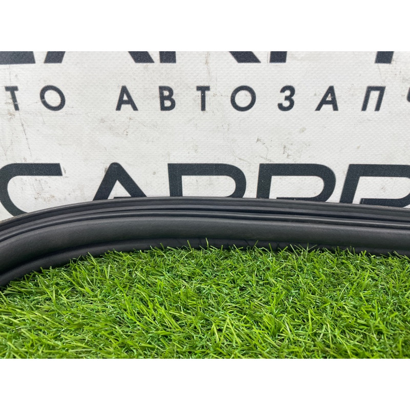 Уплотнитель проема багажника (кузов и элементы) FORD Focus MK3 2016 1.0 BM5Z-5443720-B