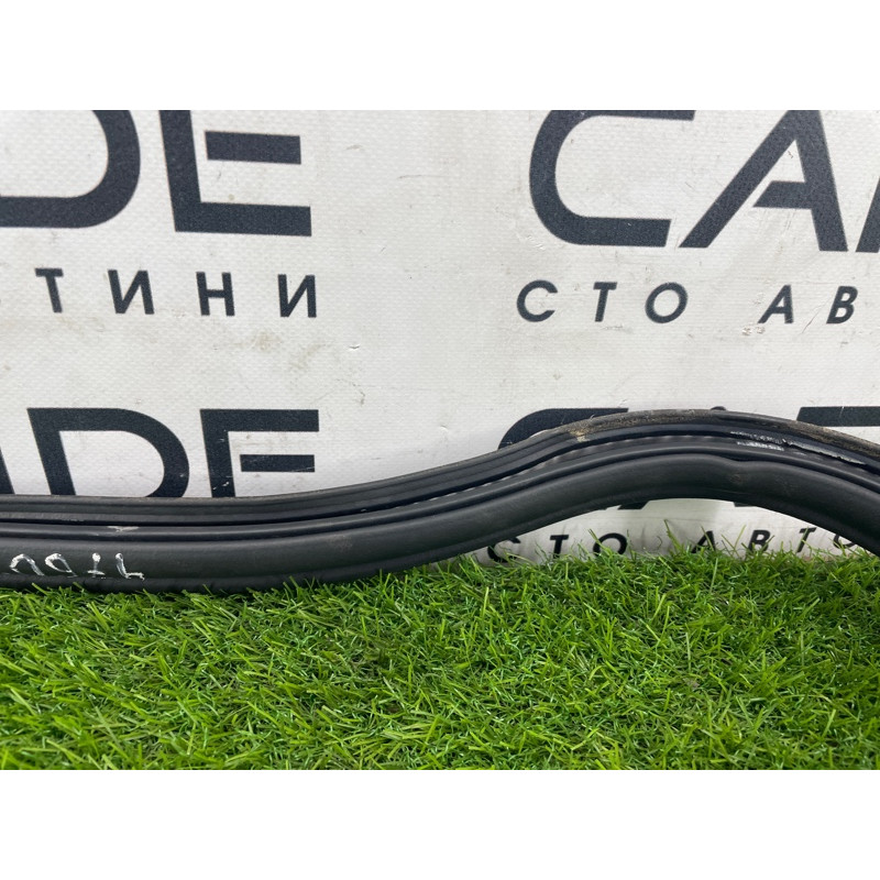 Уплотнитель проема багажника (кузов и элементы) FORD Focus MK3 2016 1.0 BM5Z-5443720-B