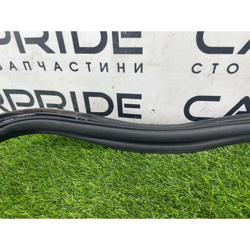 Уплотнитель проема багажника (кузов и элементы) FORD Focus MK3 2016 1.0 BM5Z-5443720-B