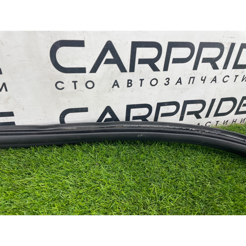 Уплотнитель проема багажника (кузов и элементы) FORD Focus MK3 2016 1.0 BM5Z-5443720-B