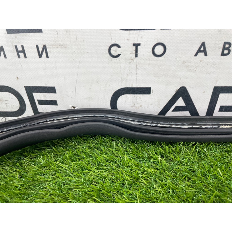 Уплотнитель проема багажника (кузов и элементы) FORD Focus MK3 2016 1.0 BM5Z-5443720-B