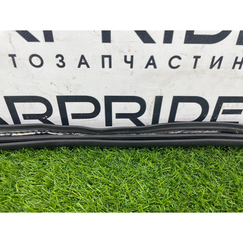 Уплотнитель проема багажника (кузов и элементы) FORD Focus MK3 2016 1.0 BM5Z-5443720-B