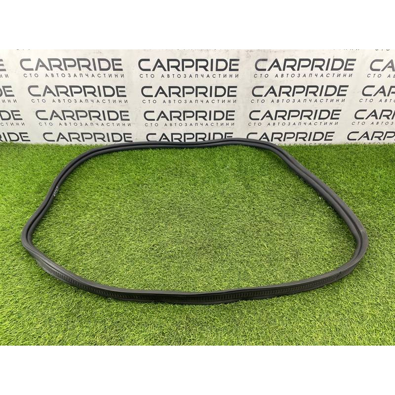 Уплотнитель проема багажника (кузов и элементы) FORD Focus MK3 2016 1.0 BM5Z-5443720-B