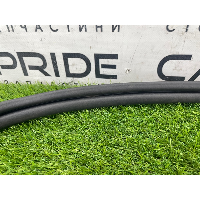 Уплотнитель проема багажника (кузов и элементы) FORD Focus MK3 2016 1.0 BM5Z-5443720-B