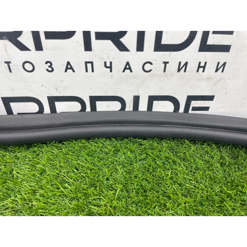 Уплотнитель проема багажника (кузов и элементы) FORD Focus MK3 2016 1.0 BM5Z-5443720-B
