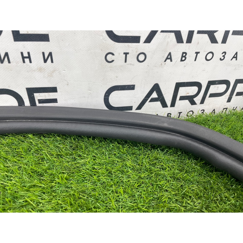 Уплотнитель проема багажника (кузов и элементы) FORD Focus MK3 2016 1.0 BM5Z-5443720-B