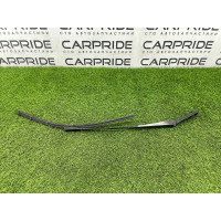 Поводок дворника