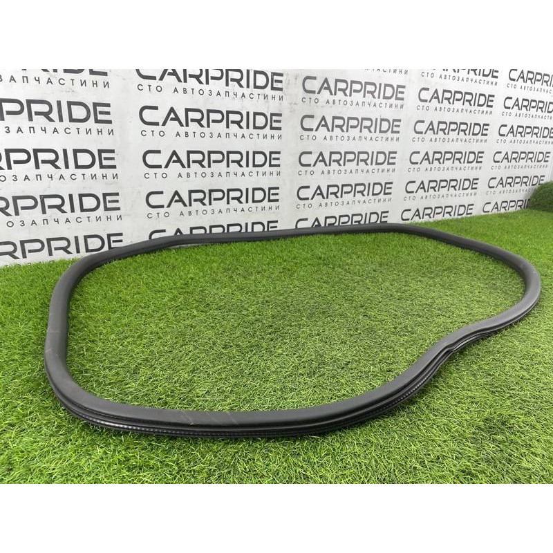 Уплотнитель проема двери (кузов и элементы) FORD ESCAPE MK4 2020 1.5 LJ6Z78253A10A