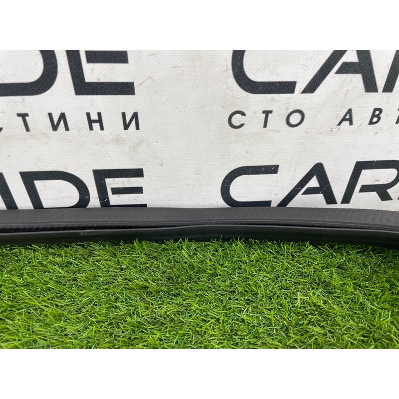 Уплотнитель проема двери (кузов и элементы) FORD ESCAPE MK4 2020 1.5 LJ6Z78253A10A