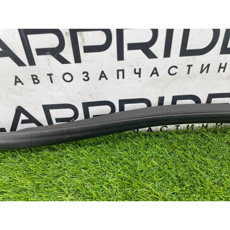 Уплотнитель проема двери (кузов и элементы) FORD ESCAPE MK4 2020 1.5 LJ6Z78253A10A