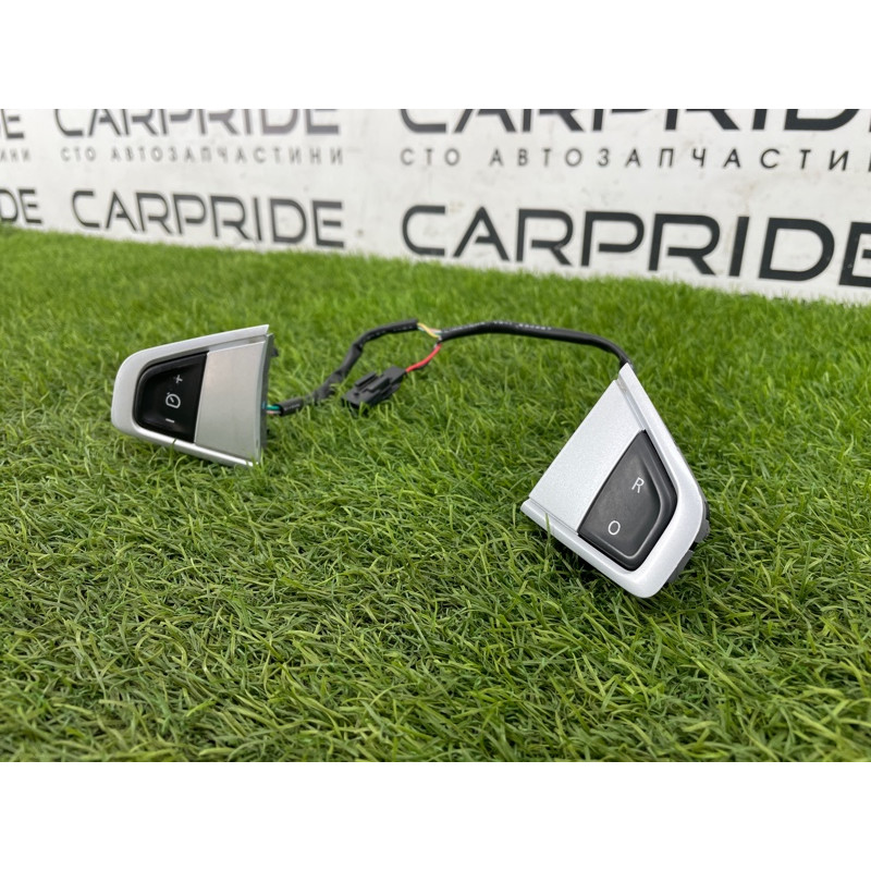 Кнопки руля (электрика / кнопки) Renault Scenic III 2011 1.6 R9M 255501805R