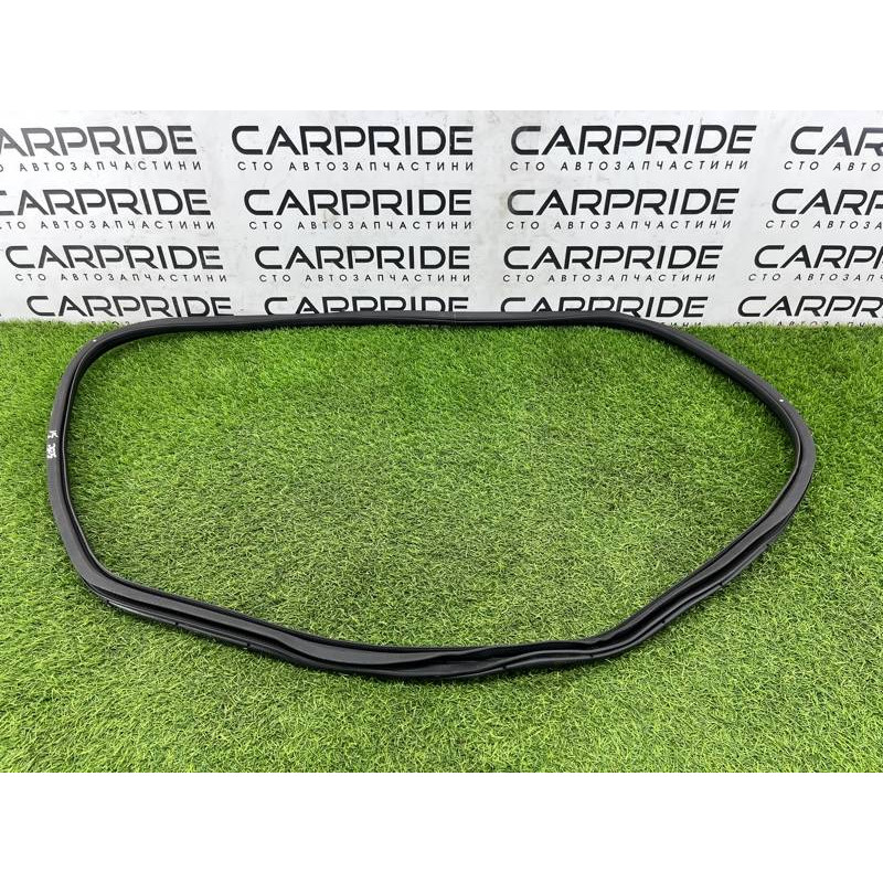 Уплотнитель проема двери (кузов и элементы) FORD ESCAPE MK4 2020 1.5 LJ6Z78253A10A