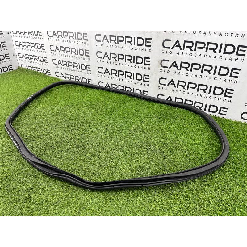 Уплотнитель проема двери (кузов и элементы) FORD ESCAPE MK4 2020 1.5 LJ6Z78253A10A