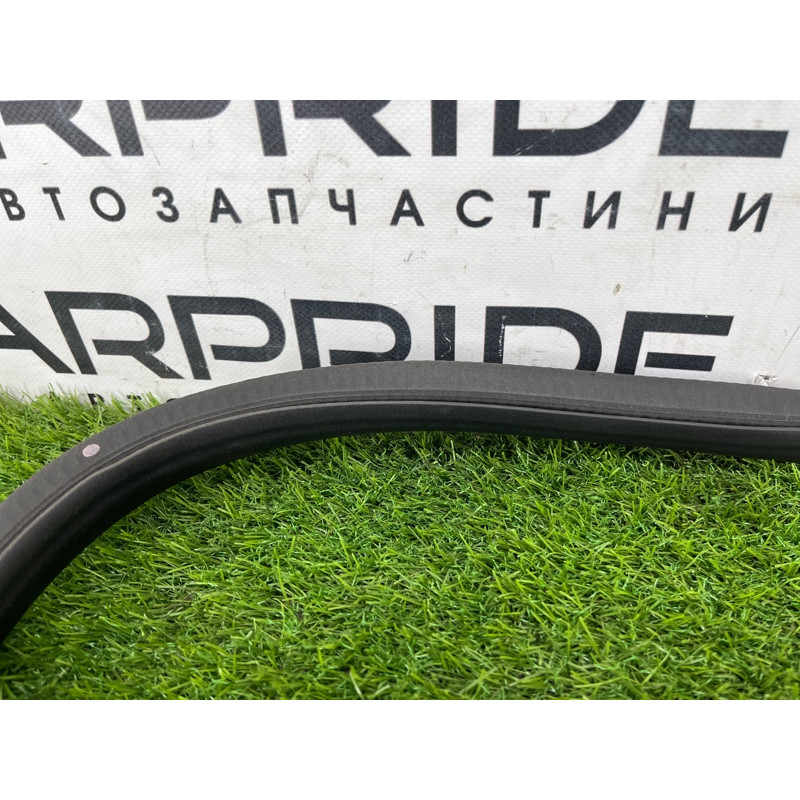 Уплотнитель проема двери (кузов и элементы) FORD ESCAPE MK4 2020 1.5 LJ6Z78253A10A