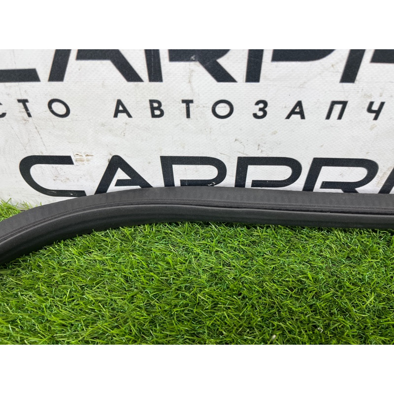 Уплотнитель проема двери (кузов и элементы) FORD ESCAPE MK4 2020 1.5 LJ6Z78253A10A