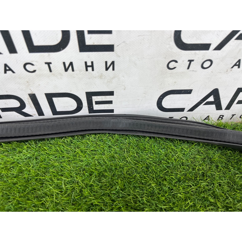 Уплотнитель проема двери (кузов и элементы) FORD ESCAPE MK4 2020 1.5 LJ6Z78253A10A