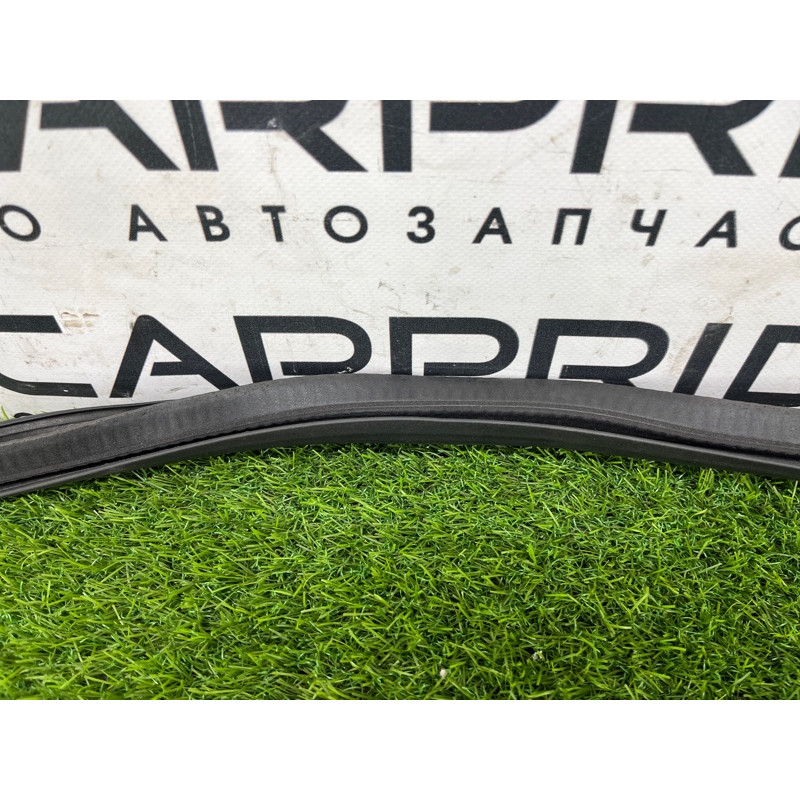 Уплотнитель проема двери (кузов и элементы) FORD ESCAPE MK4 2020 1.5 LJ6Z78253A10A