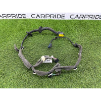 Проводка дверная