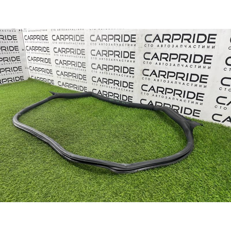 Уплотнитель проема двери (кузов и элементы) Audi A5 F5 2019 2.0 TFSI 8W8833708