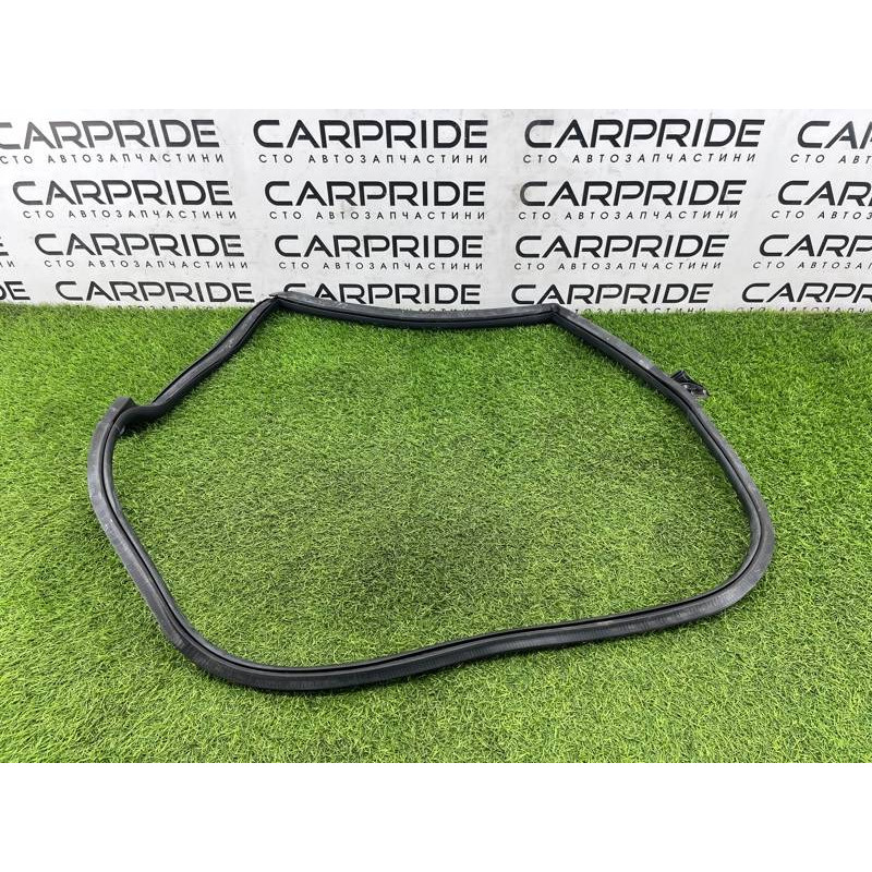 Уплотнитель проема двери (кузов и элементы) Audi A5 F5 2019 2.0 TFSI 8W8833708