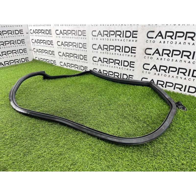 Уплотнитель проема двери (кузов и элементы) Audi A5 F5 2019 2.0 TFSI 8W8833708